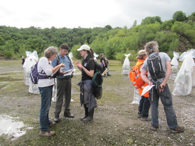Bron's Guided Walk at Westdown with Somerset Wildlife Trust