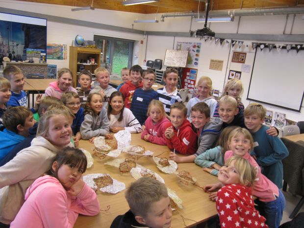 InspirED School Workshop with Fiona Campbell - students from Yrs 4,5,6, Curry Mallet Primary - Wire and paper Seeds, SESC